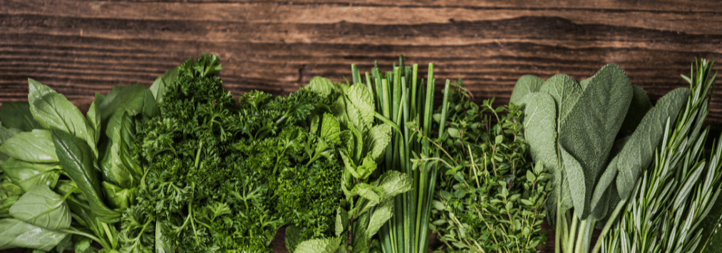 herbes fraîches
