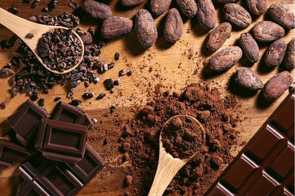 La fascinante histoire du Chocolat : Histoire et bienfaits modernes