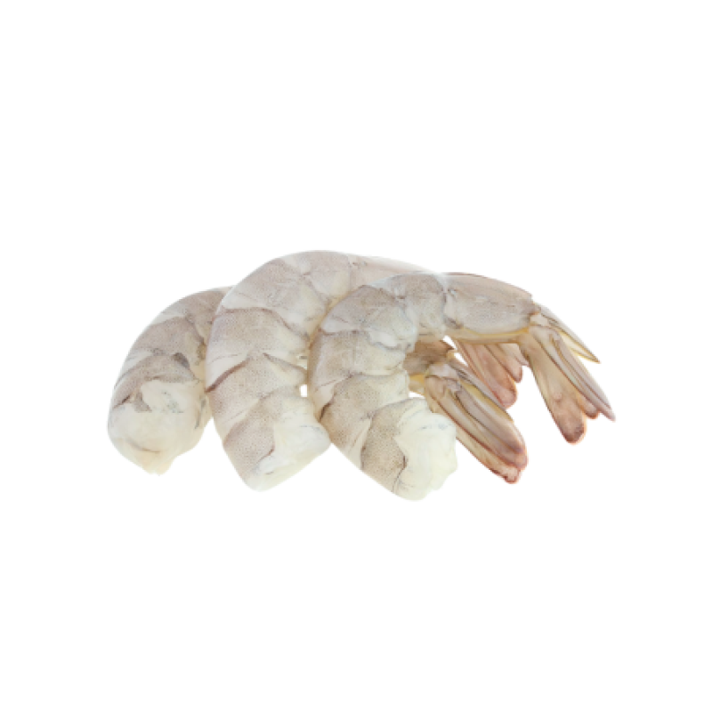 Logo du produit White Shrimps